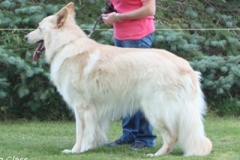 jax