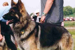 mac
